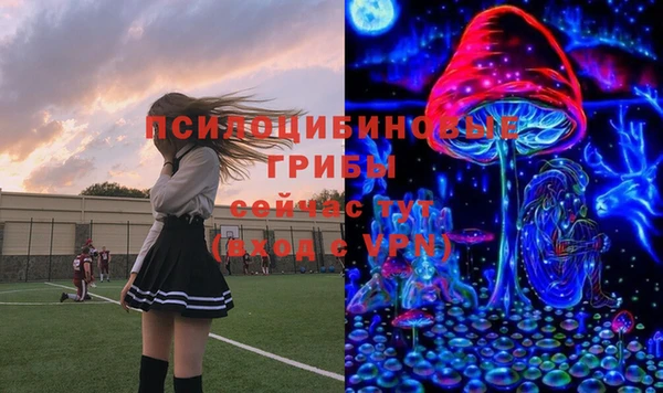 амфетамин Алексин